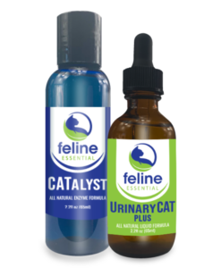 Urinary Tract Support Kit