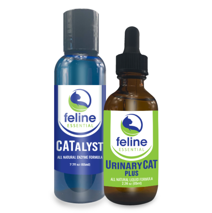 Urinary Tract Support Kit