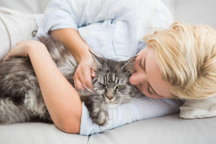 5 Toxic Mistakes Most Cat Parents Make Unknowingly