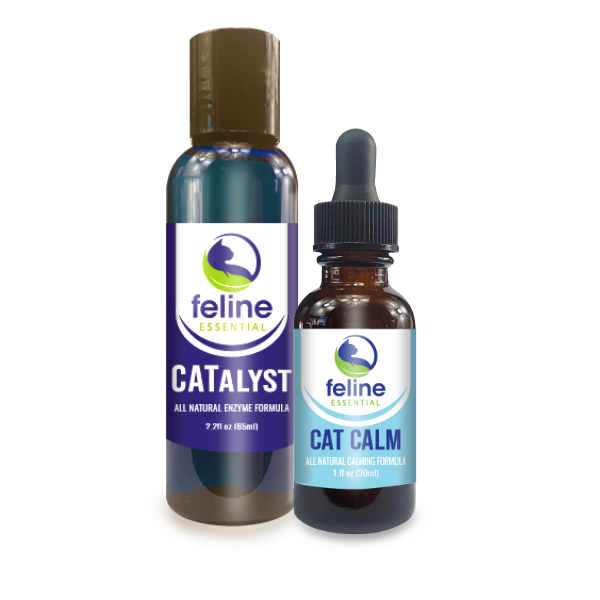 Feline Hyperesthesia Kit