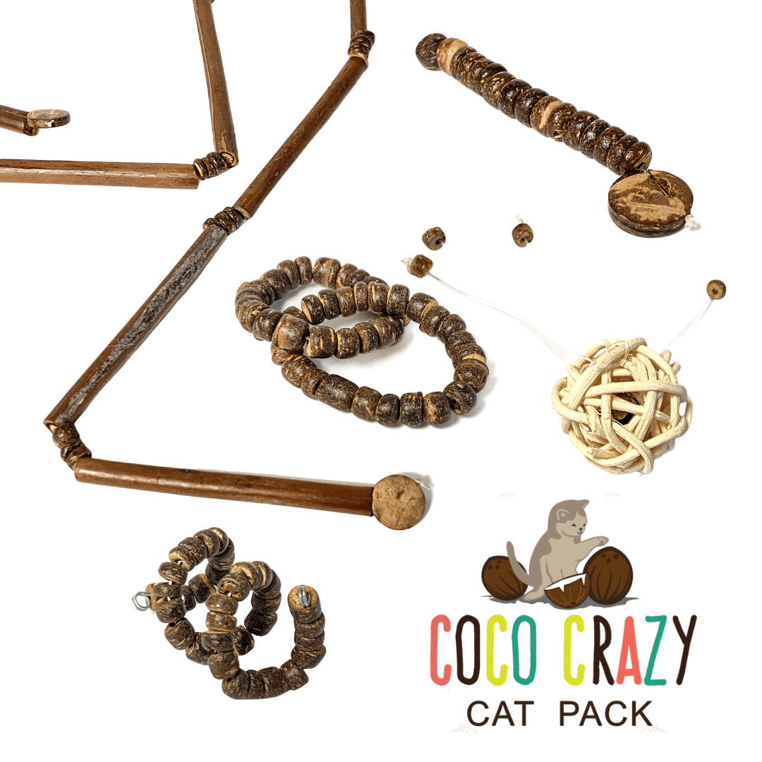 Coco Crazy Cat Pack