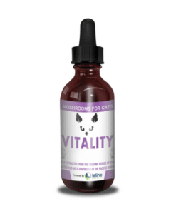 Vitality