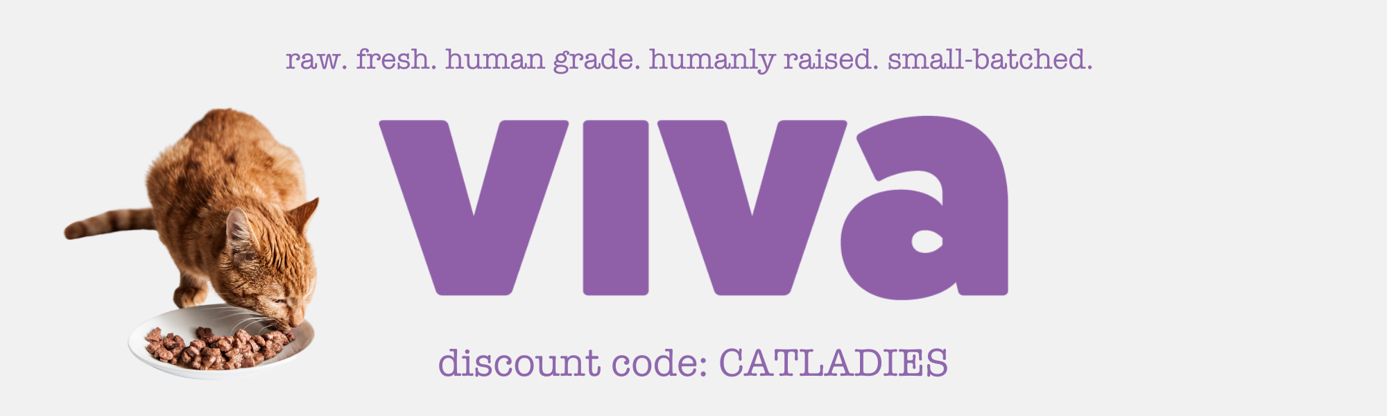 Foods We Recommend (3)