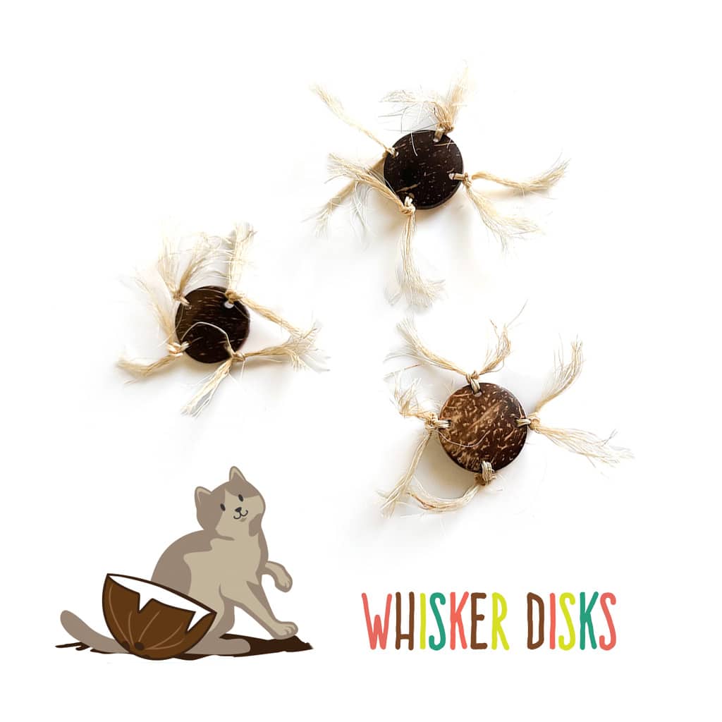 Whisker Disks