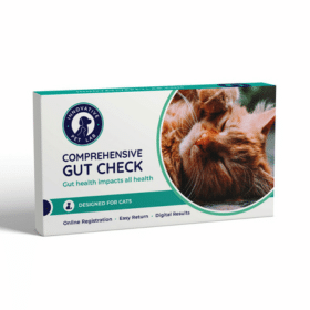 Feline Gut Health Test