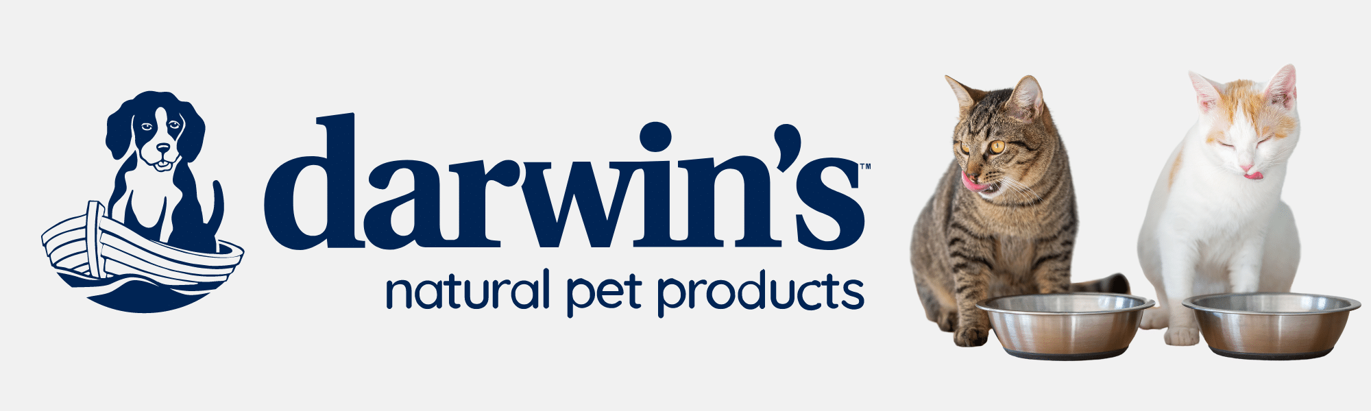 Foods We Recommend (5)