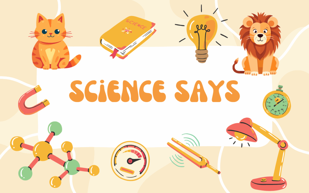 Why Cats Need a Better Diet Than Kibble