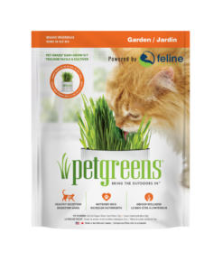 Grow cat grass at home with this organic, easy kit. Just add water and watch it grow!