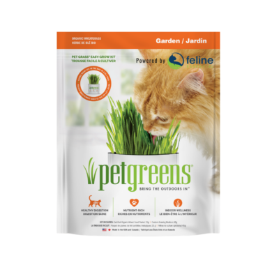 Grow cat grass at home with this organic, easy kit. Just add water and watch it grow!