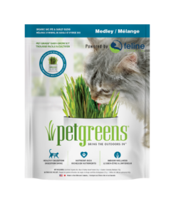 Growing cat grass for your cats is healthy when it's organic cat grass. This medley is a simple, easy way to bring the outside in!